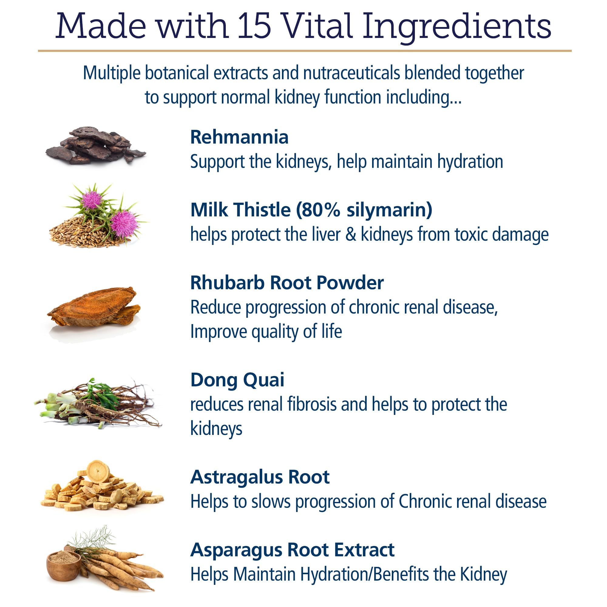 Astragalus ingredient in Rx Vitamins formula supporting canine vitality
