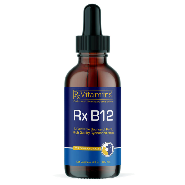 Rx Vitamins B12 for dogs and cats bottle on shelf highlighting digestive support.