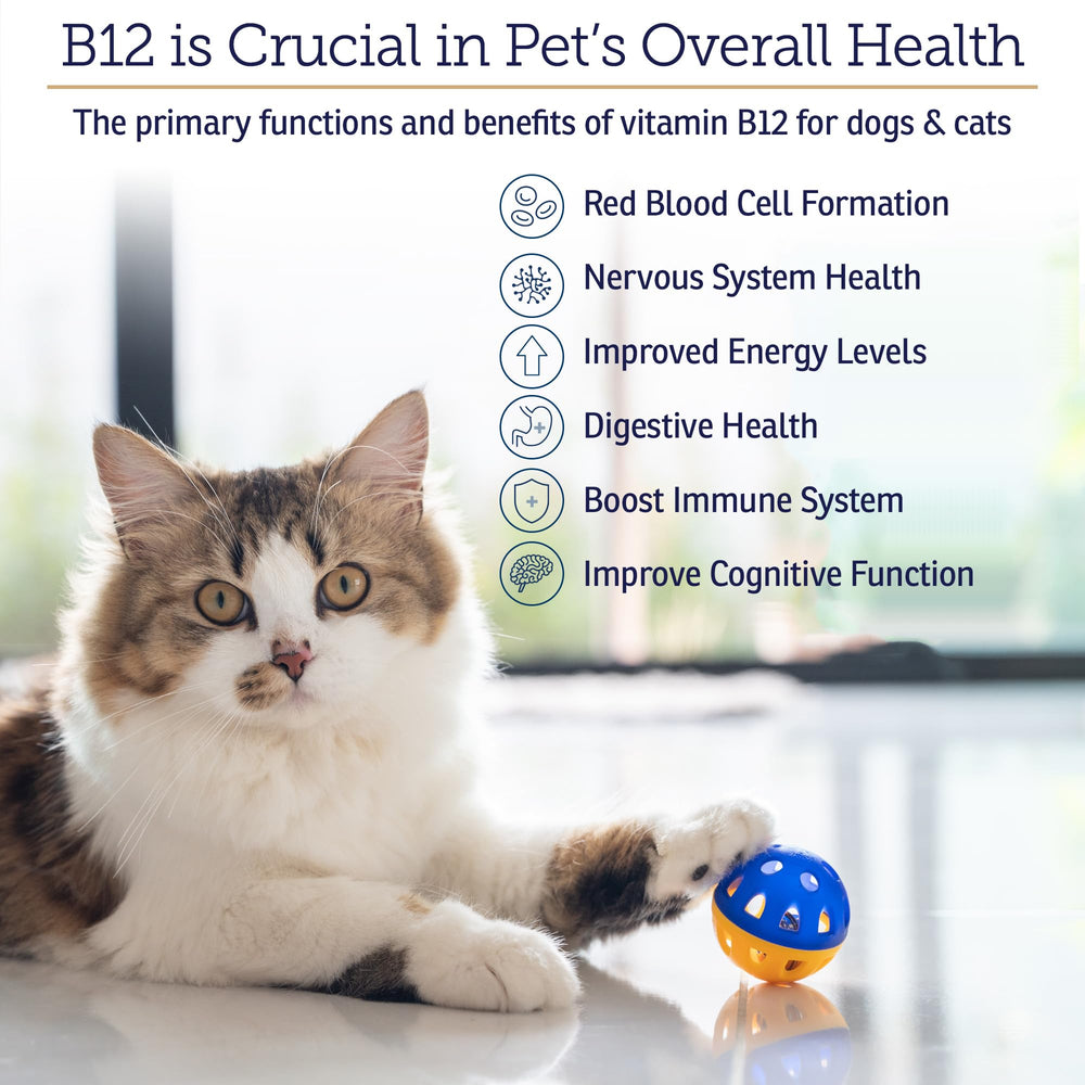 Close-up of the bottle label, signaling vet-approved quality for canine and feline health.