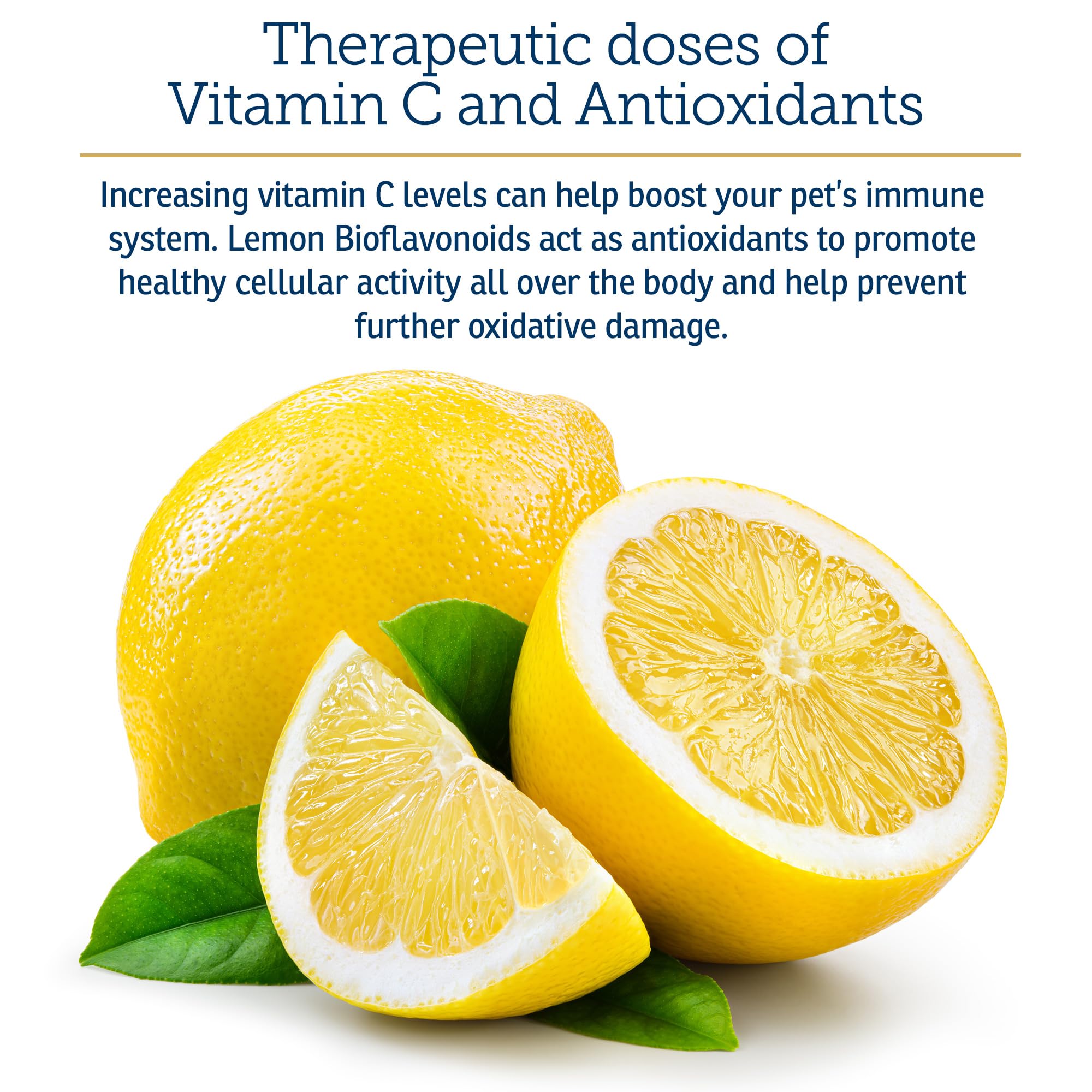 Rx Vitamins Bio-C lemon bioflavonoids image emphasizing natural antioxidant content.
