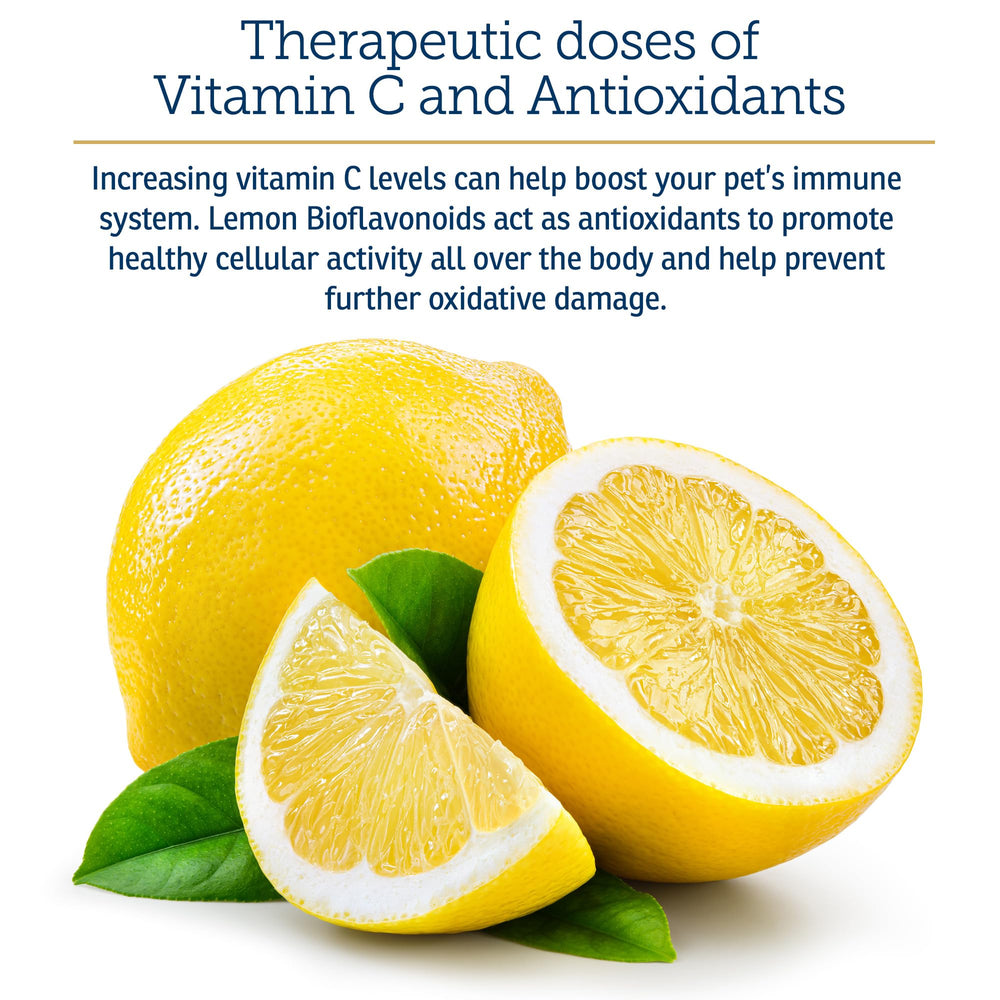 Rx Vitamins Bio-C lemon bioflavonoids image emphasizing natural antioxidant content.