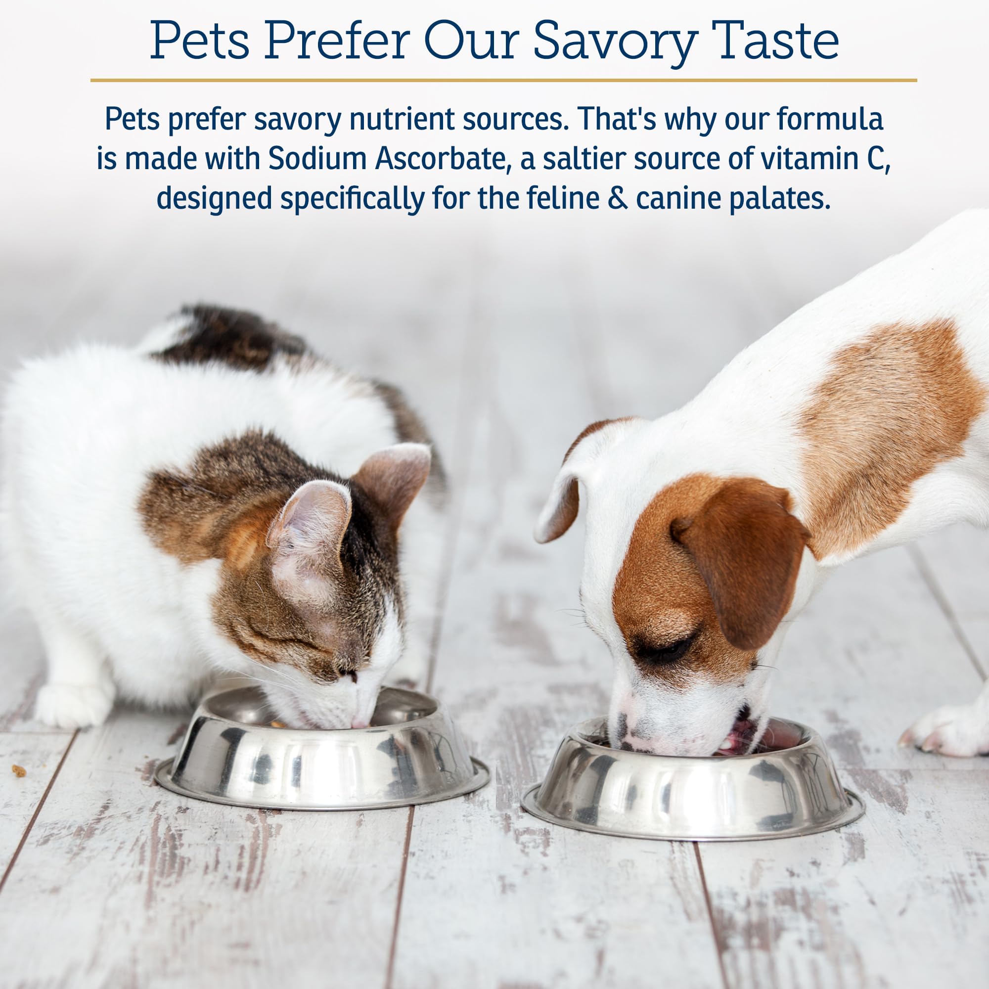 Rx Vitamins Bio-C skin and coat support for dogs and cats.