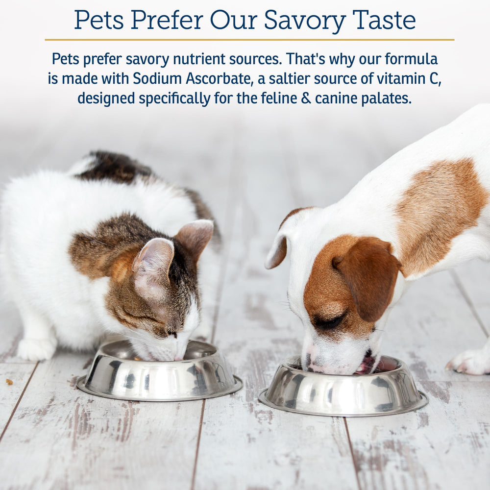 Rx Vitamins Bio-C skin and coat support for dogs and cats.