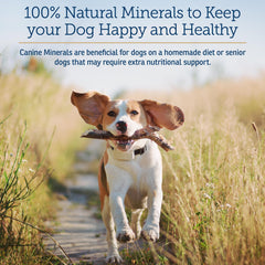 Rx Vitamins Canine Minerals bottle label highlighting calcium, iron, and minerals for wellness