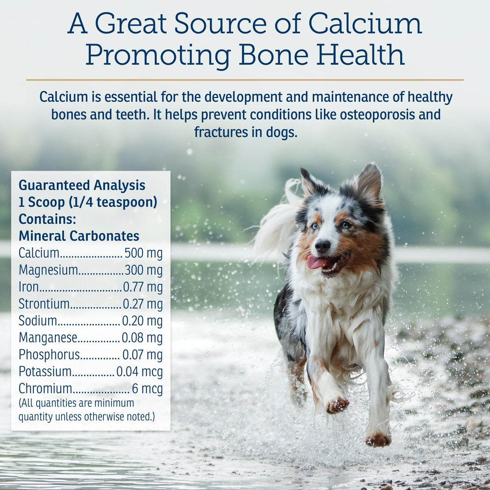 Rx Vitamins Canine Minerals powder pouring into a dog bowl at mealtime