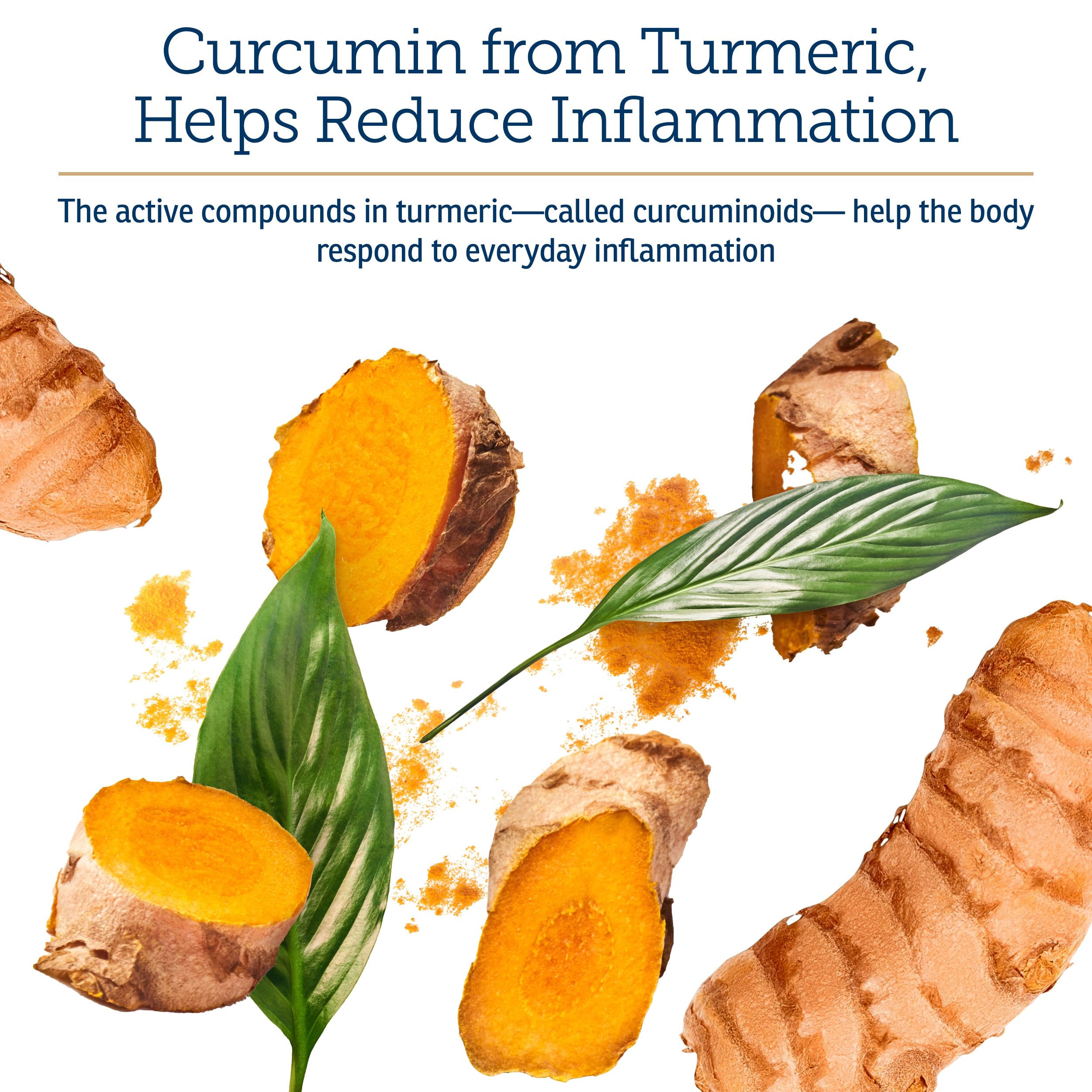 Rx Vitamins CurcuWIN cat chew, convenient for cats, supports immune and joint comfort.