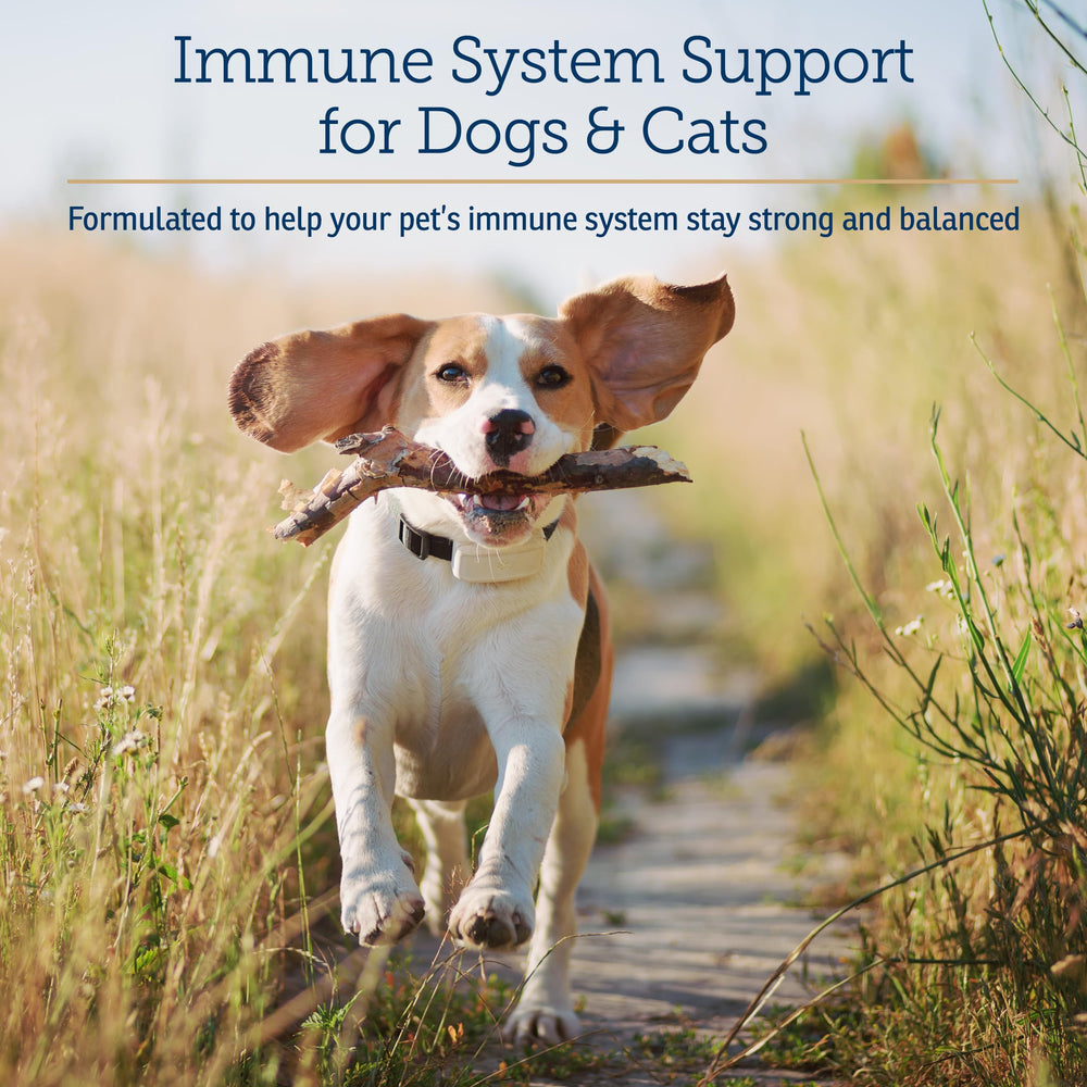 CurcuWIN chew tabs closeup, easy to administer and supports immune health.