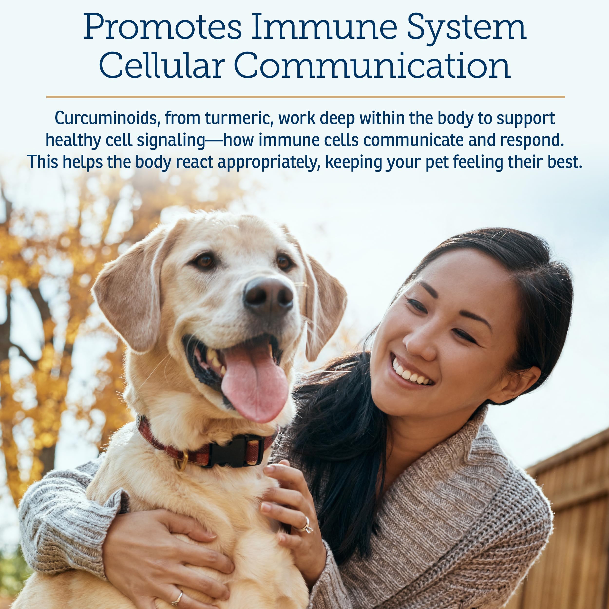 Rx Vitamins CurcuWIN dog chew ready to offer a tasty supplement.
