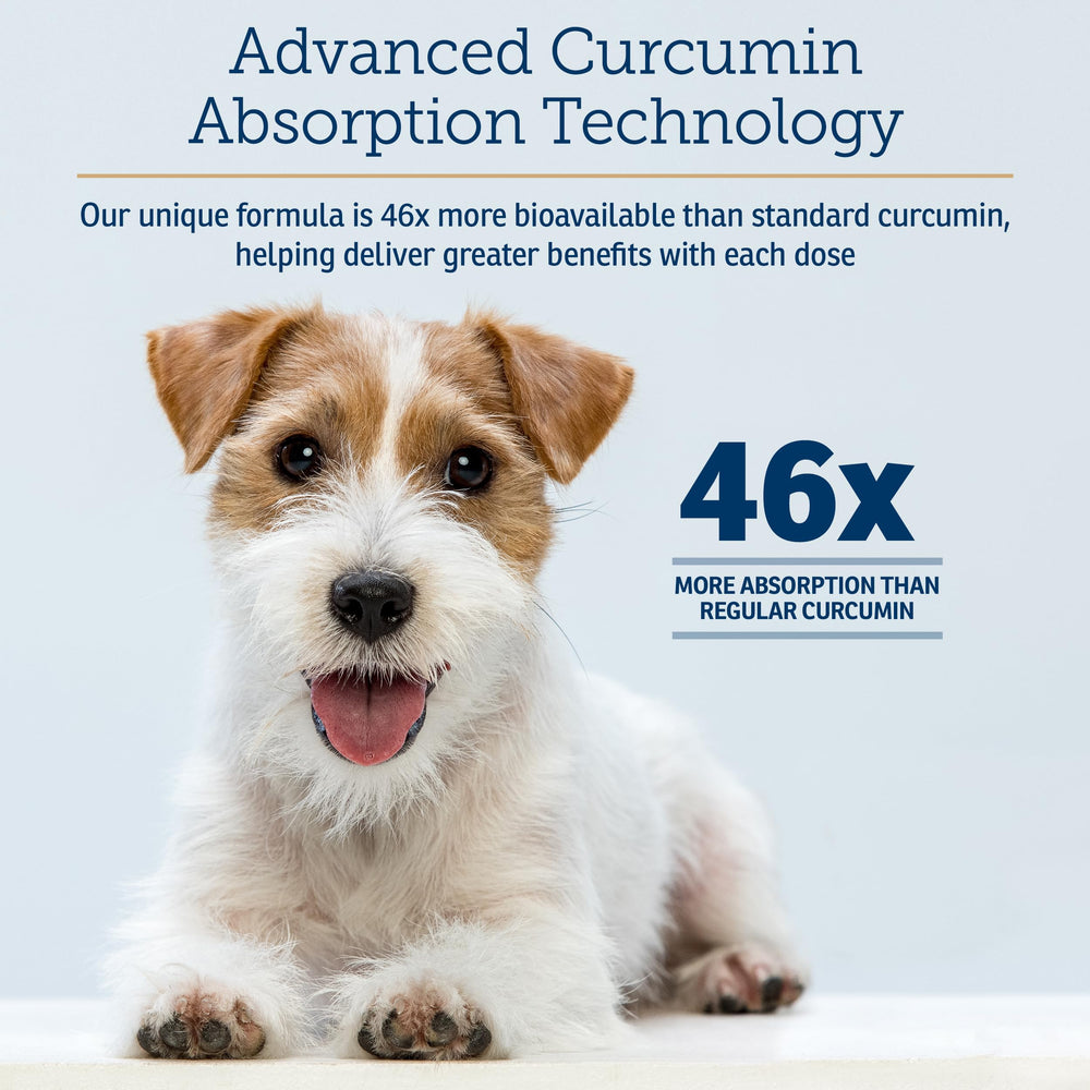 Packaging box showing advanced absorption for pets' daily immune and joint support.