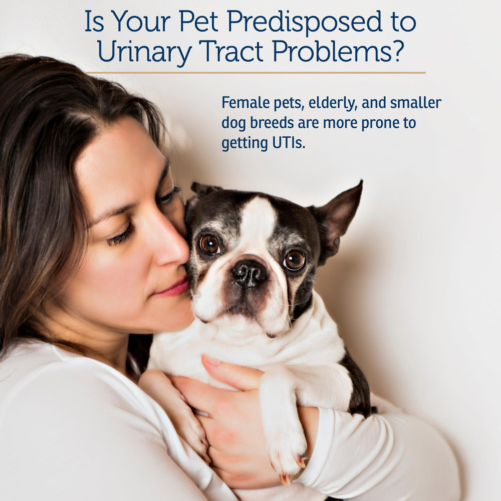 Rx Vitamins easy-to-administer capsules for both dogs and cats.