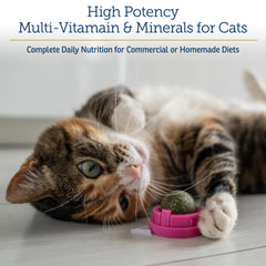 Rx Vitamins Essentials powder scoop for cats supports energy and skin and coat health