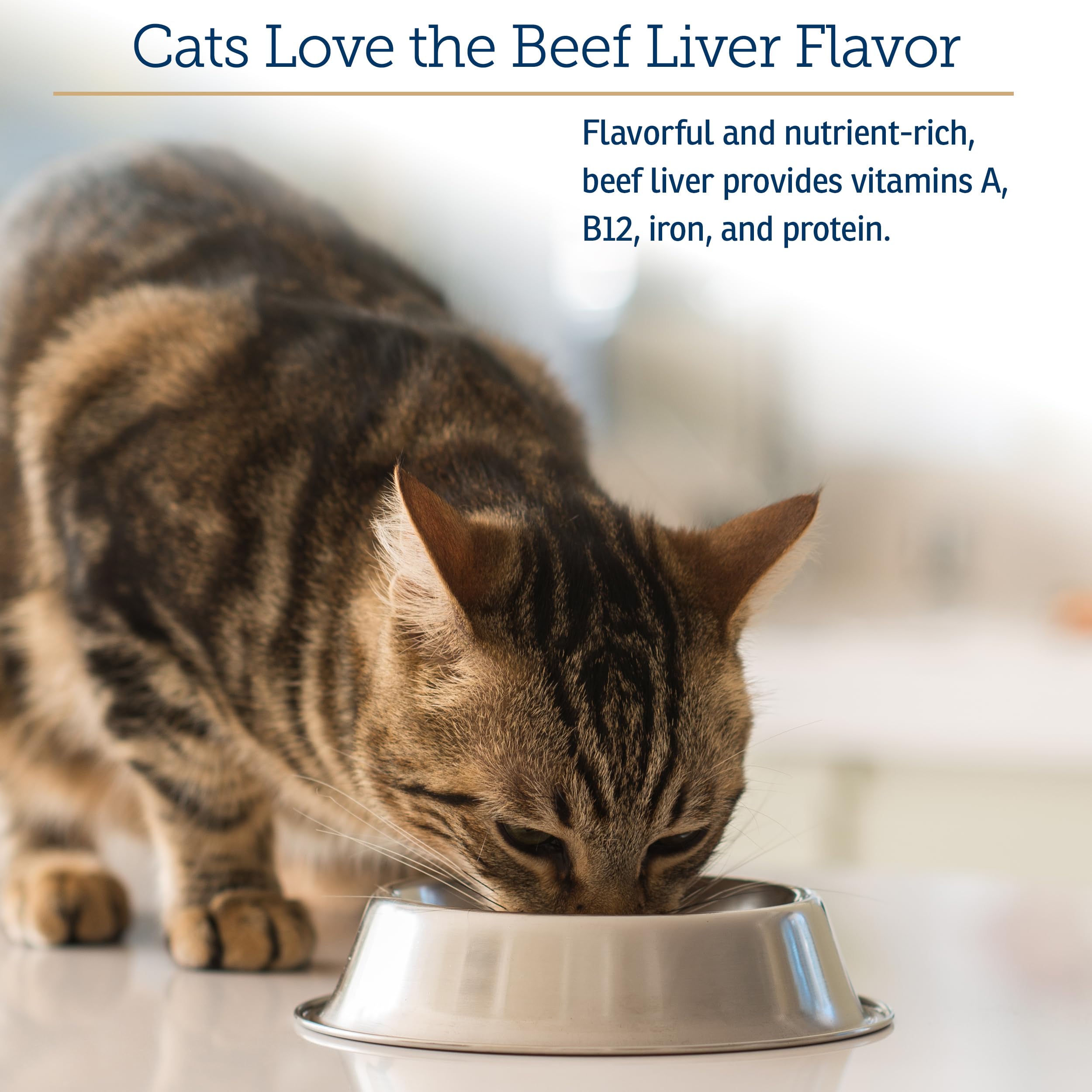 Rx Vitamins Essentials for Cats jar demonstrates steady supplementation for indoor cats