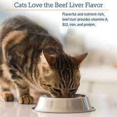 Rx Vitamins Essentials for Cats jar demonstrates steady supplementation for indoor cats