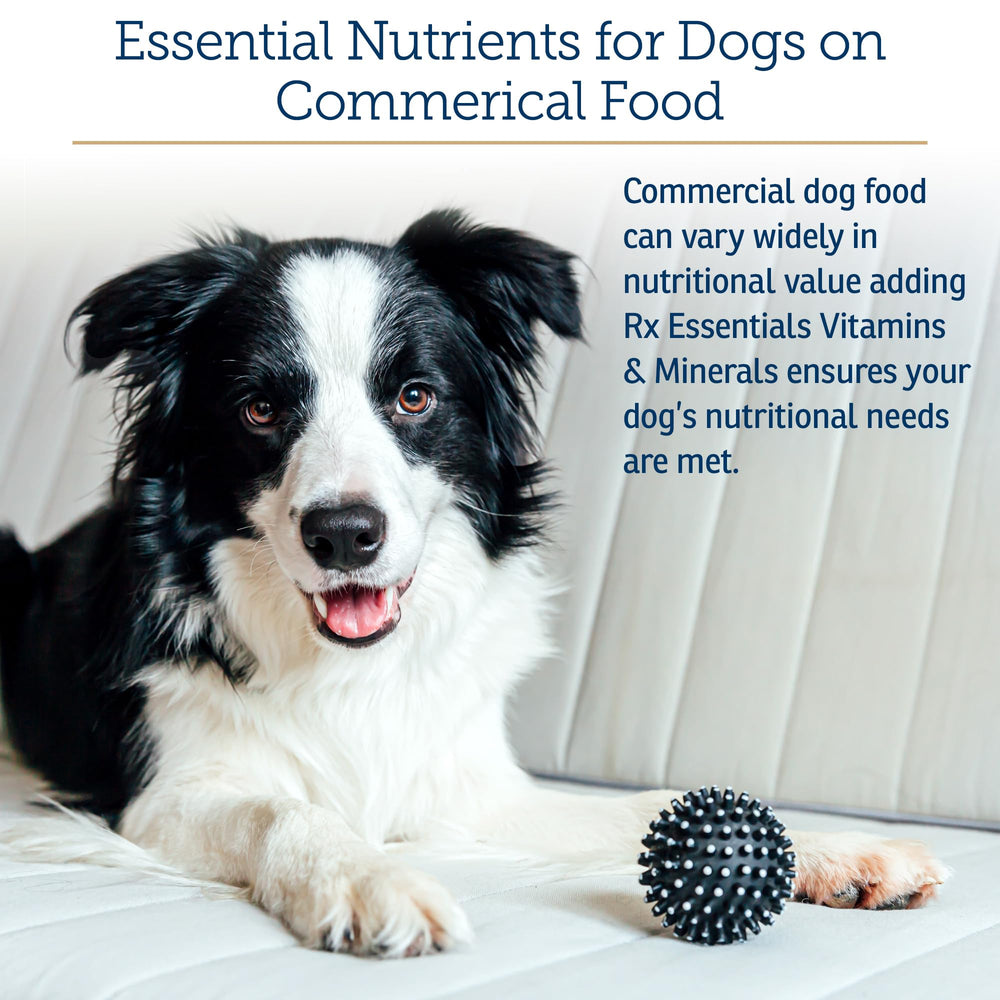 Rx Vitamins Essentials for Dogs dry food topper sprinkled on kibble