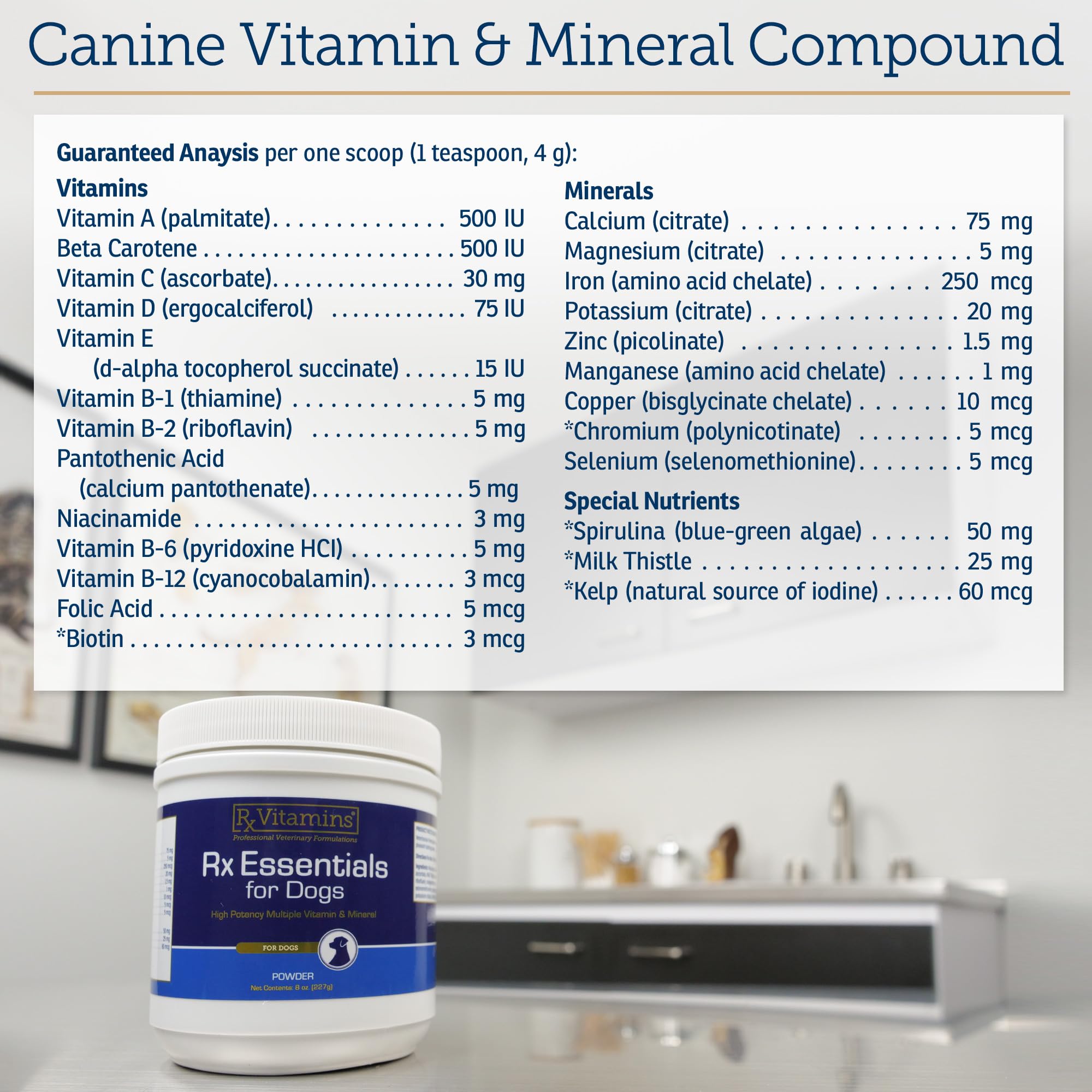 Rx Vitamins Essentials for Dogs kelp powder scoop ready for use