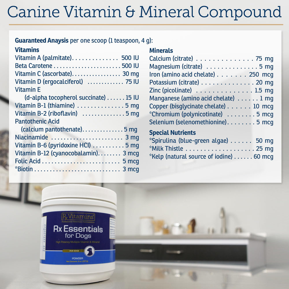 Rx Vitamins Essentials for Dogs kelp powder scoop ready for use