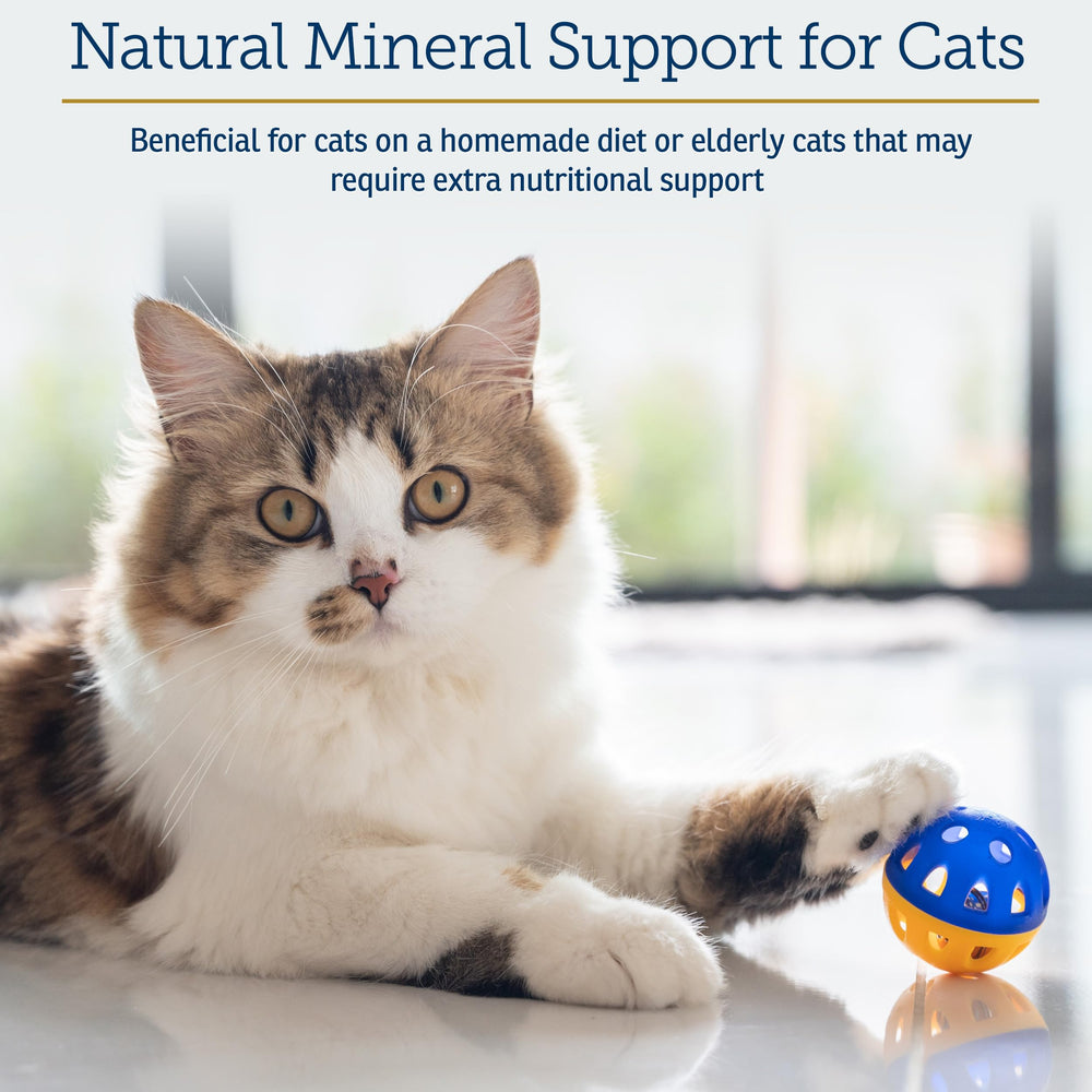 Rx Vitamins Feline Minerals heart health visual highlight