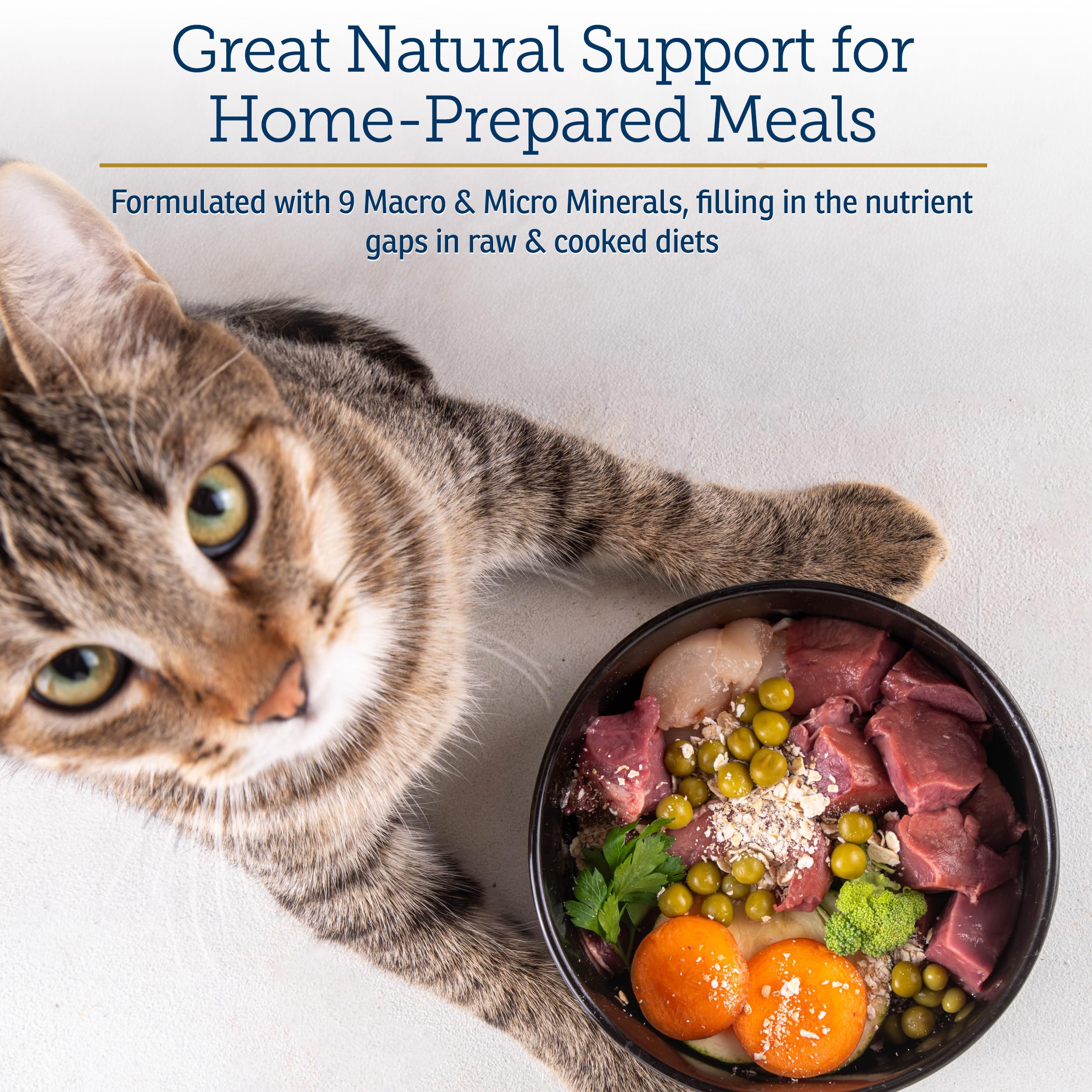Rx Vitamins Feline Minerals immune support powder for feline wellness
