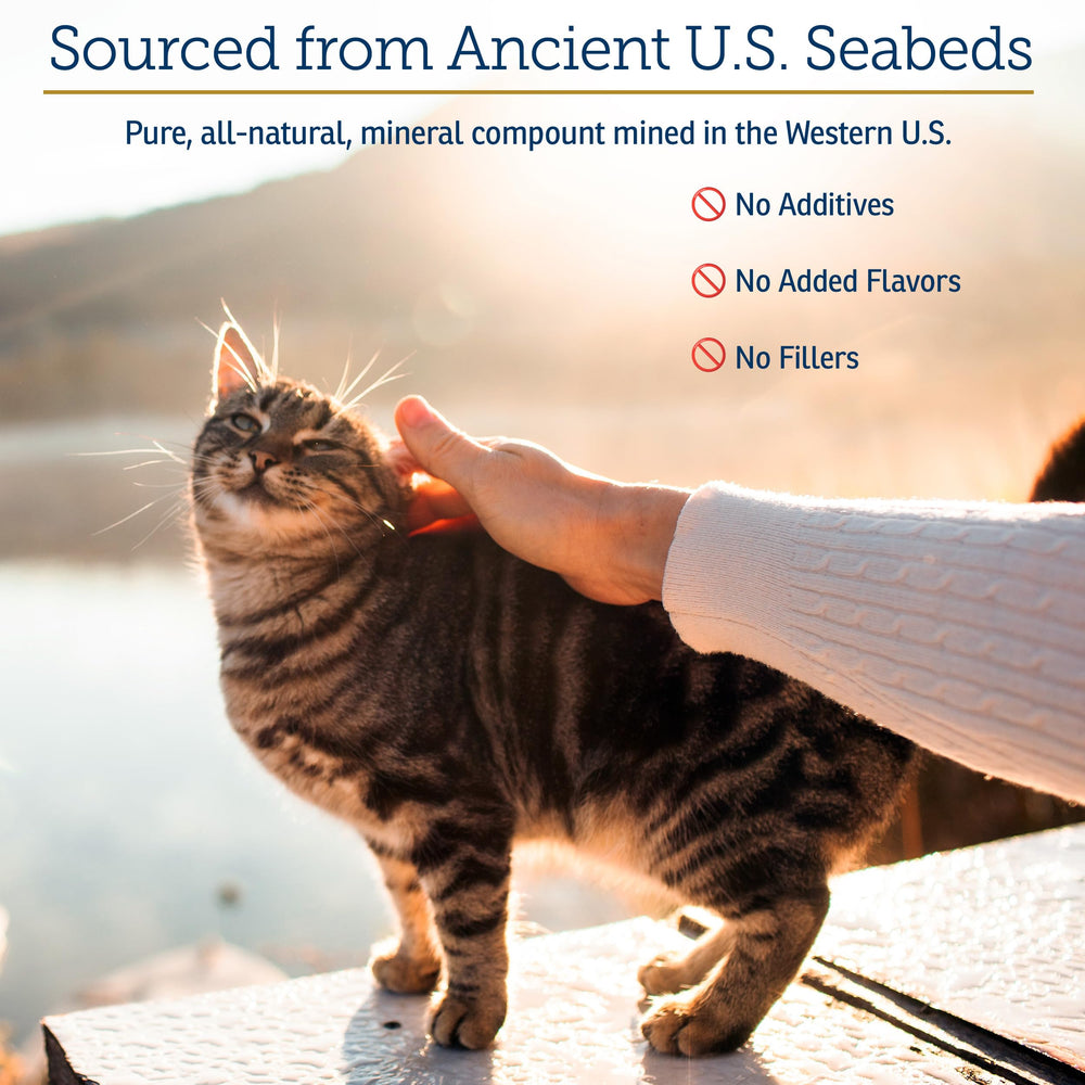 Rx Vitamins Feline Minerals coat and skin health for shinier fur