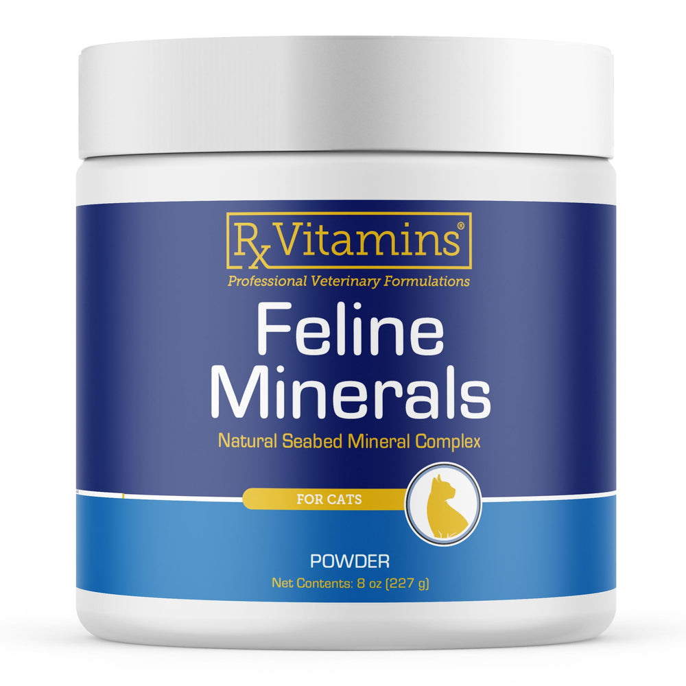 Rx Vitamins Feline Minerals taurine bottle supports heart health and vision in cats