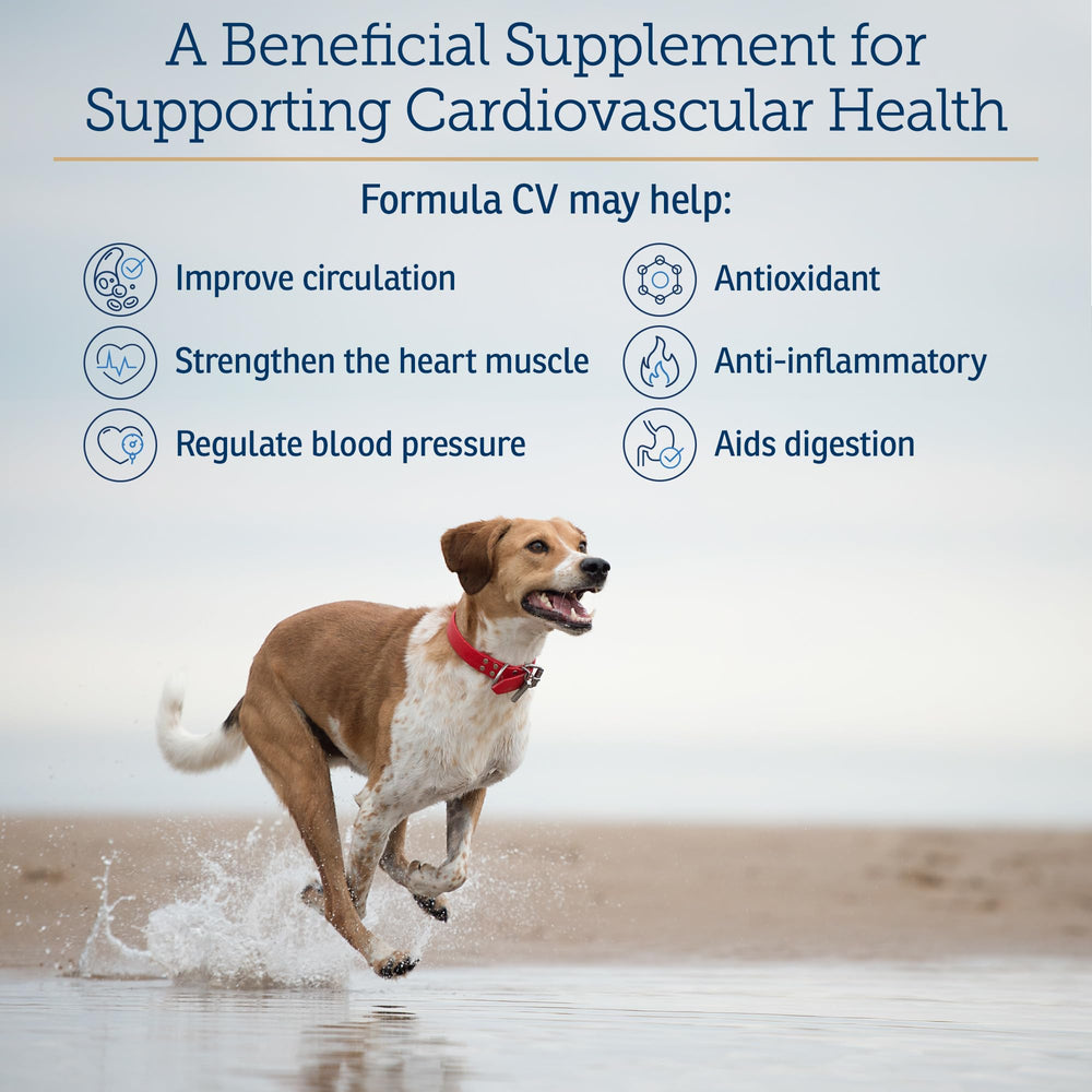 Senior pets with Rx Vitamins Formula CV may experience vitality support.