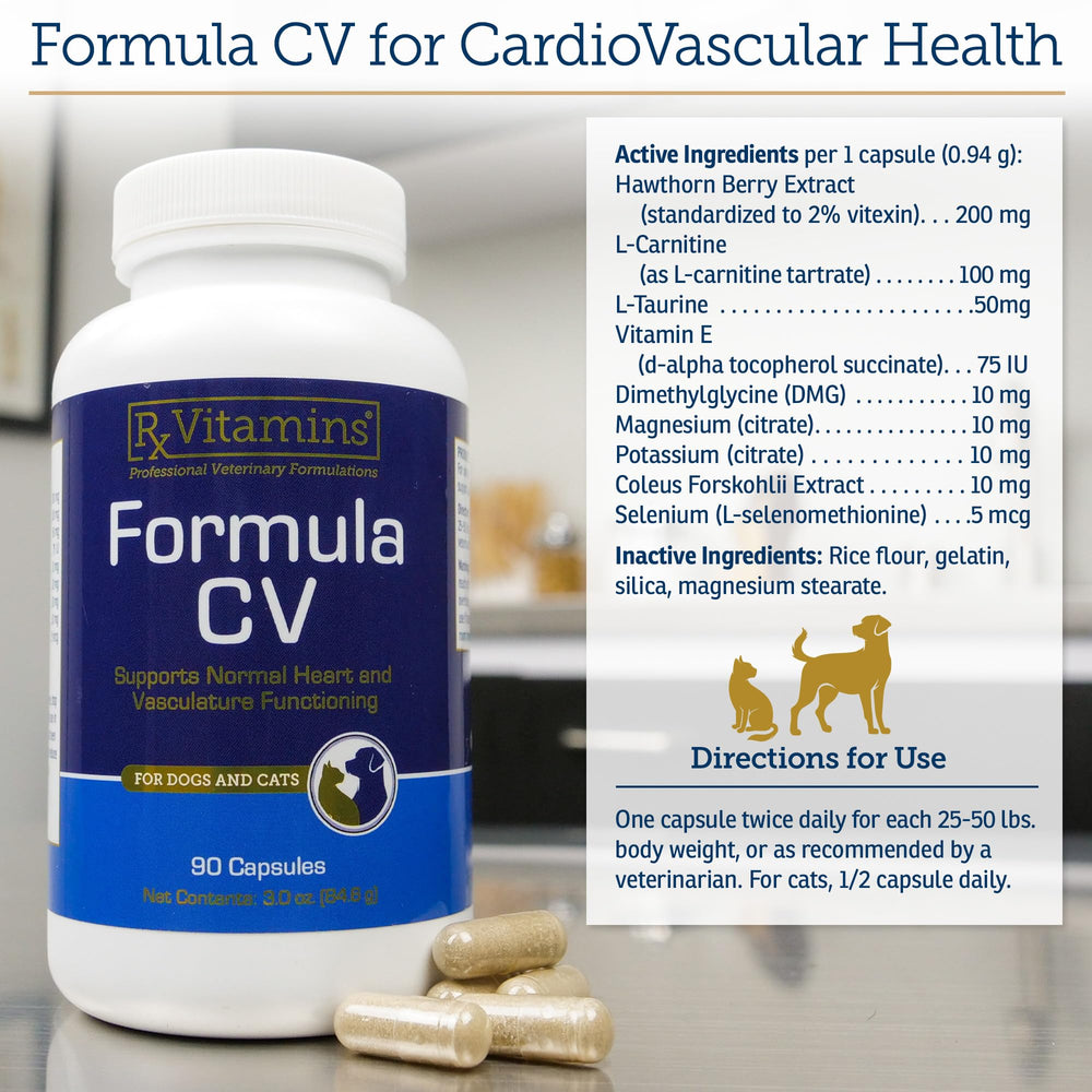 Taurine-support capsule component from Rx Vitamins Formula CV for heart health.