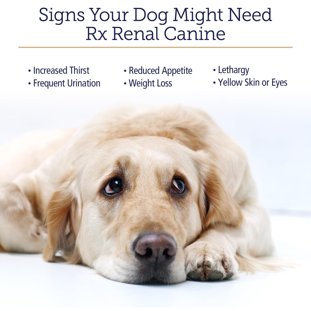 Green tea antioxidant capsules for dogs provide cellular protection