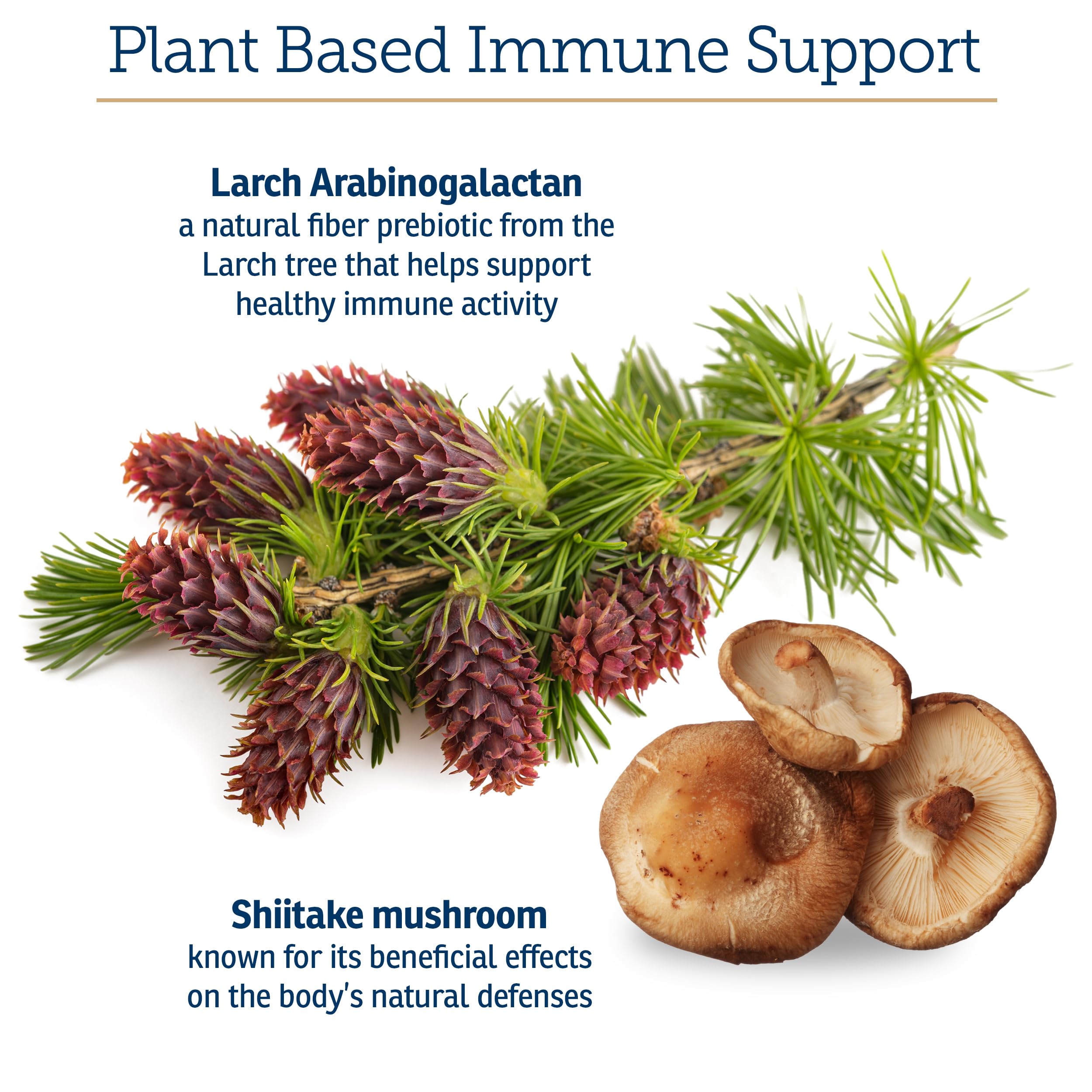 Rx Vitamins Immuno Support for cats shows easy daily capsules for felines.