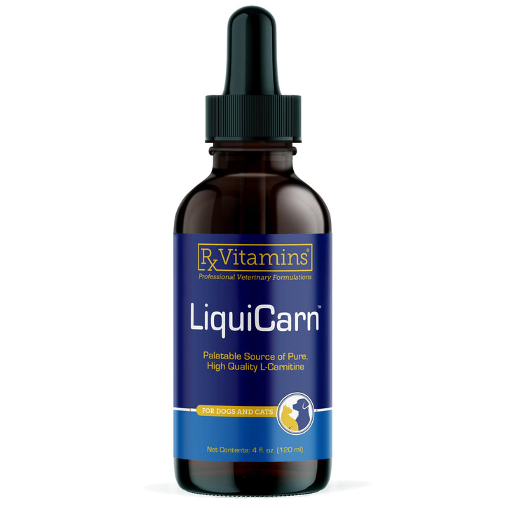 Rx Vitamins LiquiCarn bottle pour shows pure L-Carnitine for energy support.