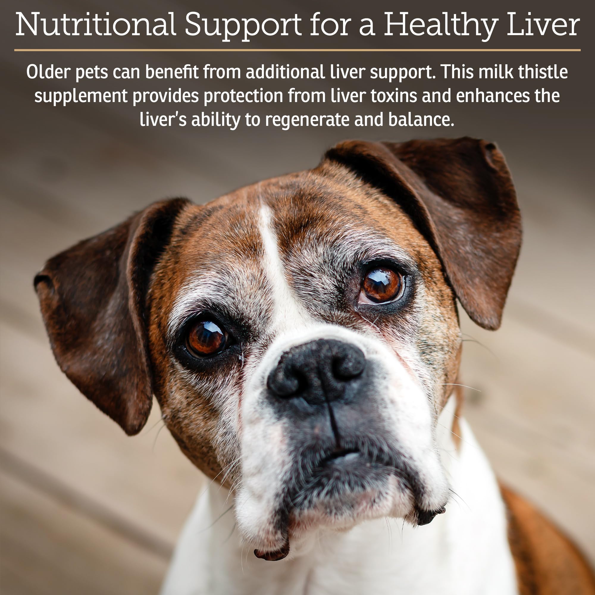Rx Vitamins Hepato chicken-flavor drops entice dogs for easy administration.