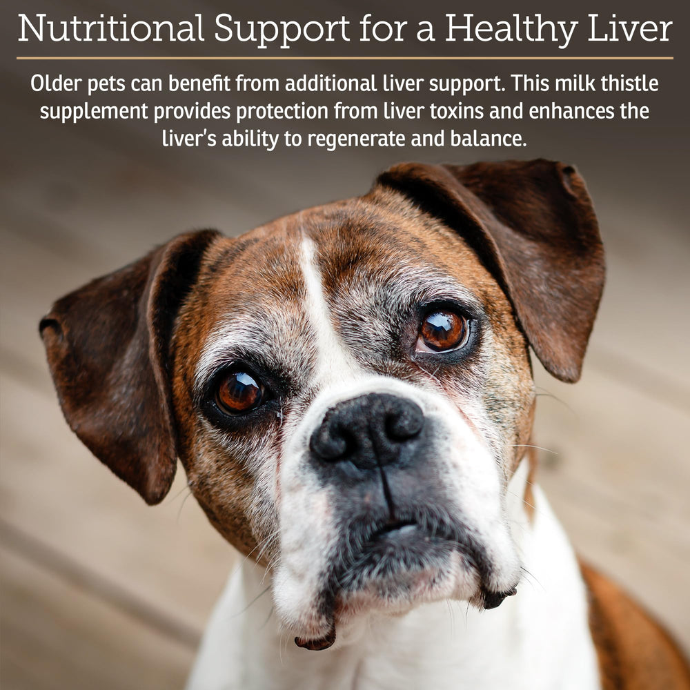 Rx Vitamins Hepato chicken-flavor drops entice dogs for easy administration.