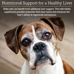 Rx Vitamins Liquid Hepato Support bottle being poured to show dosing