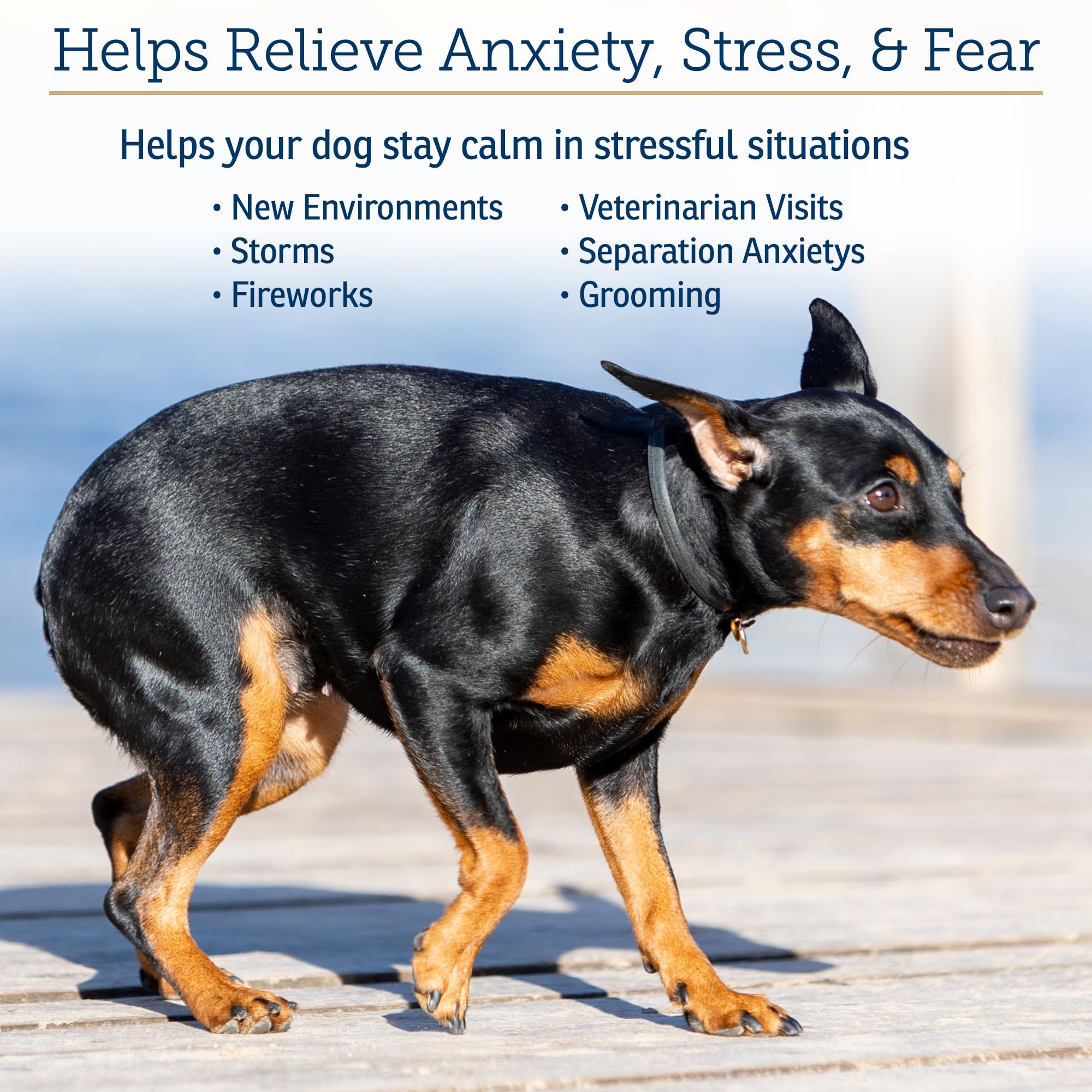 Dosing chart for NutriCalm capsules for dog weights