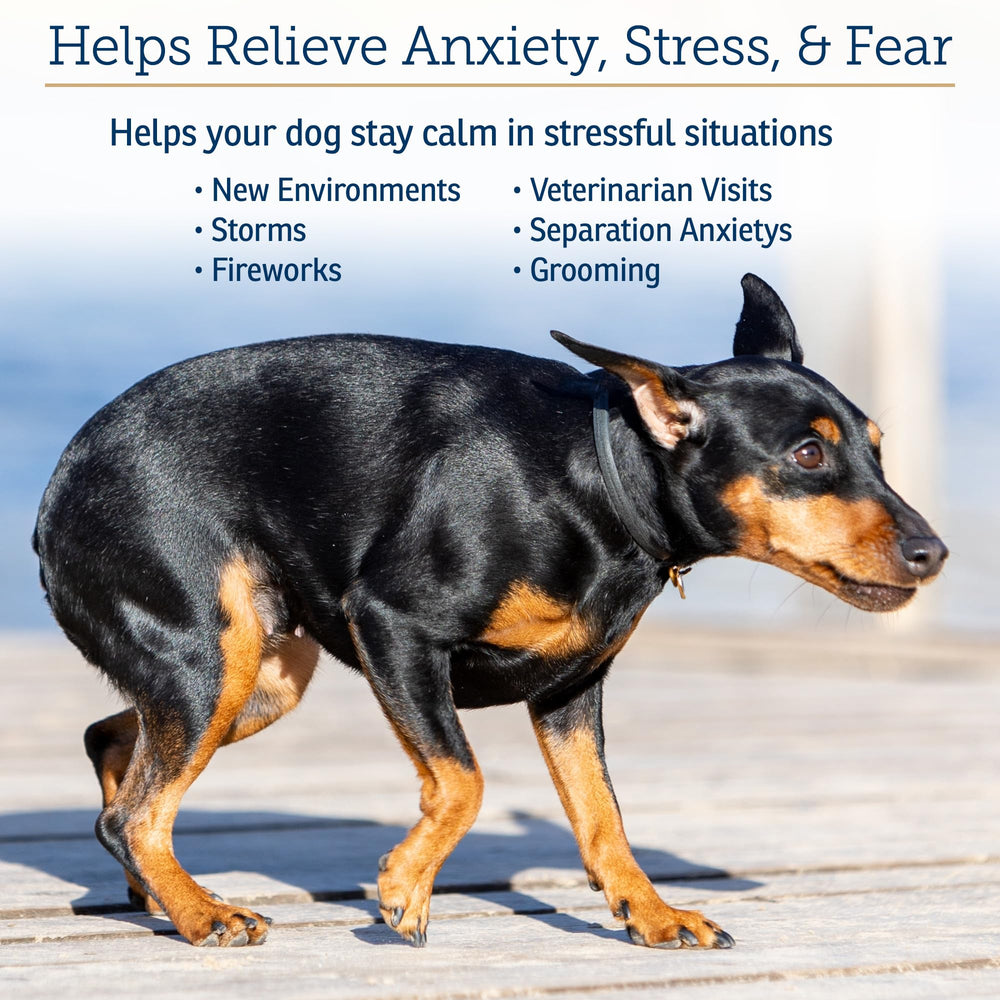 Dosing chart for NutriCalm capsules for dog weights