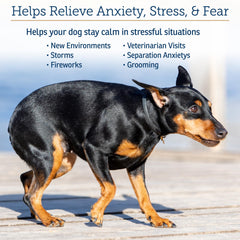 Dosing chart for NutriCalm capsules for dog weights