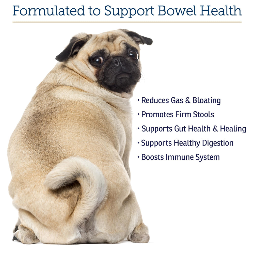 Rx Vitamins NutriGest bottle-label details highlight probiotic blend.