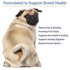 Rx Vitamins NutriGest bottle-label details highlight probiotic blend.