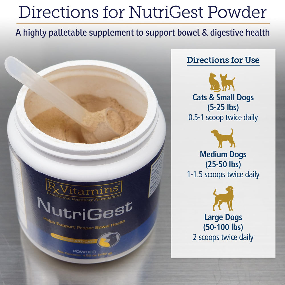 Rx Vitamins NutriGest powder being measured for pet meal mix