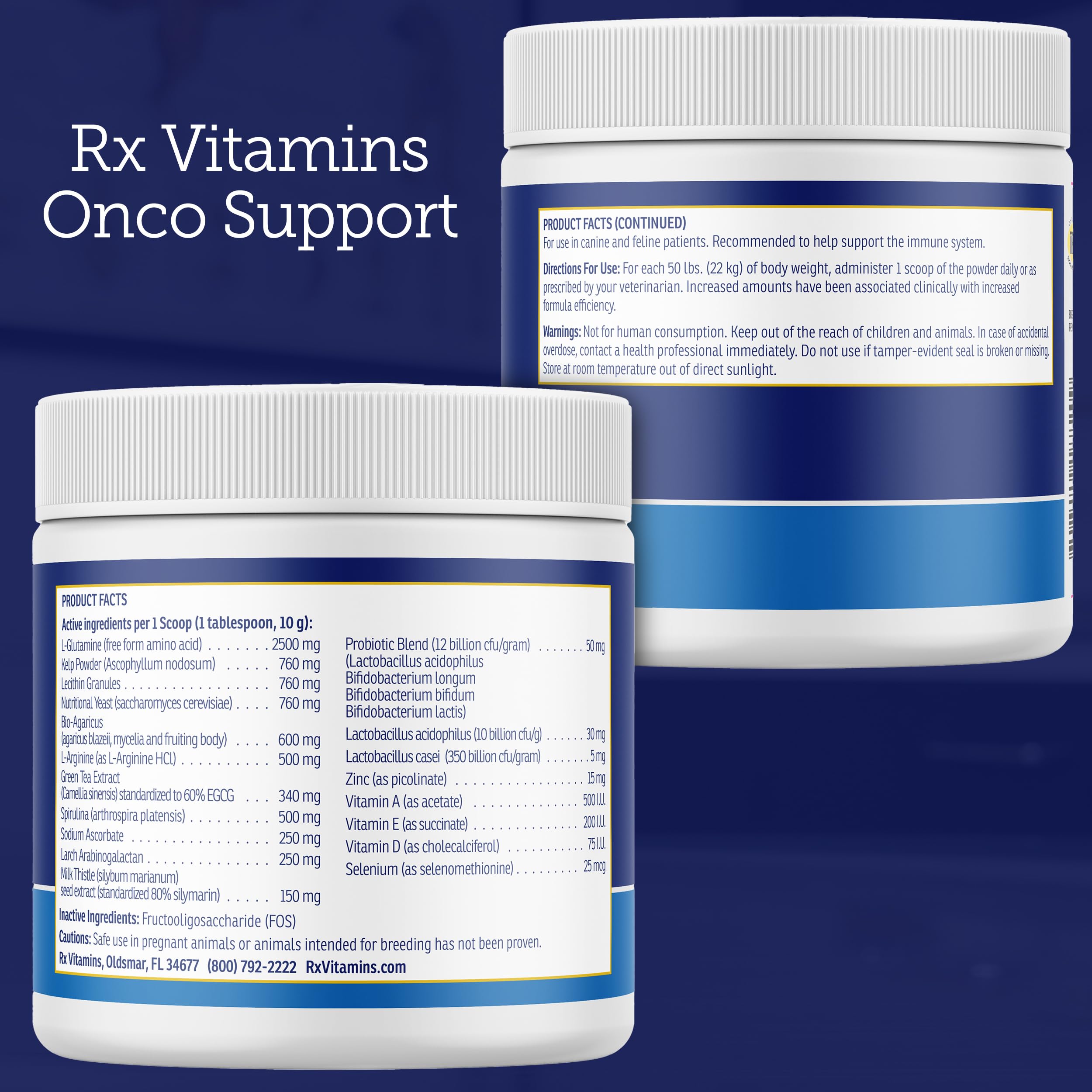 Rx Vitamins Onco Support dog plate scene suggesting digestive support.