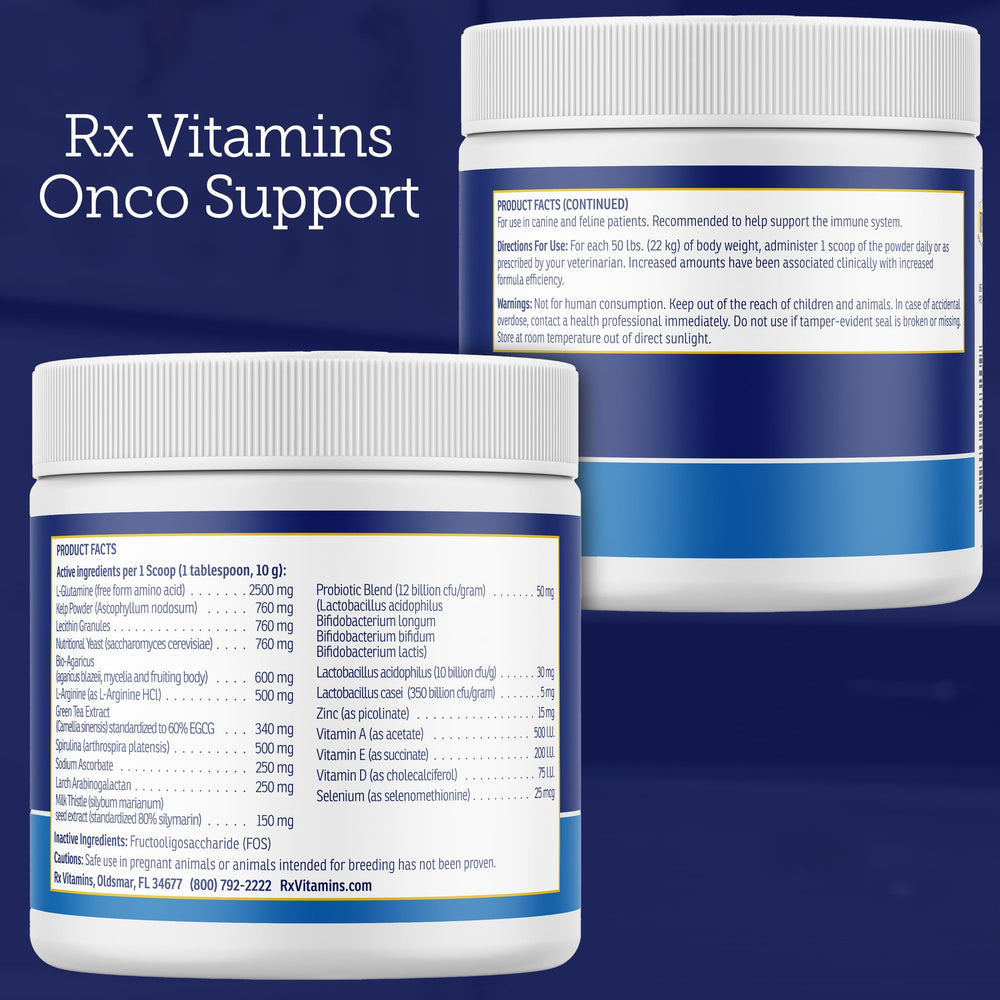 Rx Vitamins Onco Support dog plate scene suggesting digestive support.