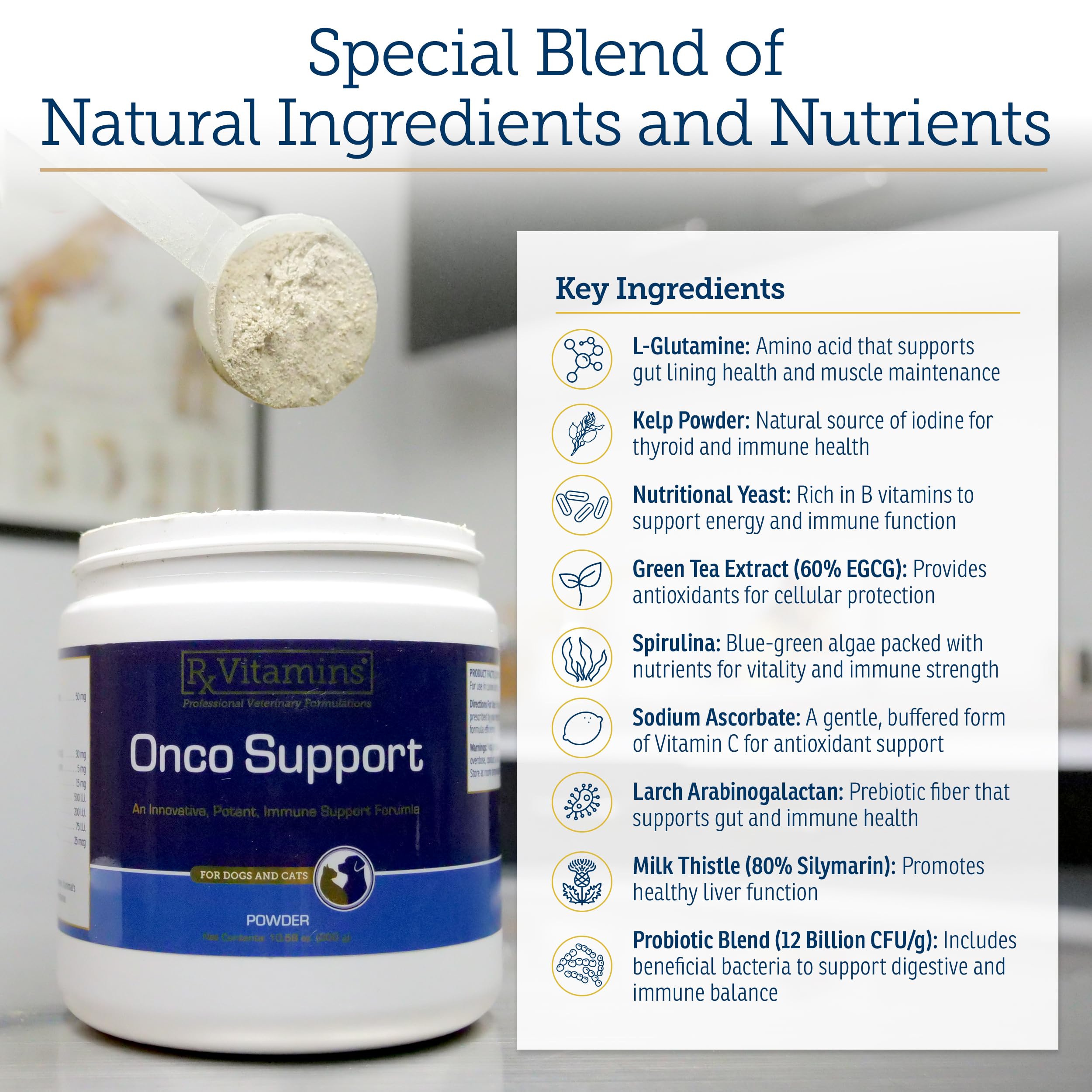 Rx Vitamins Onco Support kelp powder showcasing mineral-rich seaweed blend.