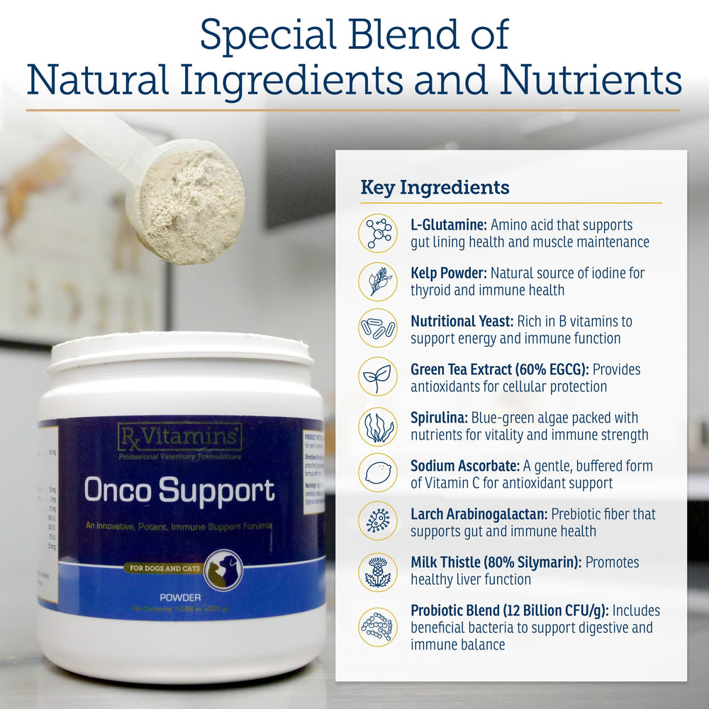 Rx Vitamins Onco Support kelp powder showcasing mineral-rich seaweed blend.