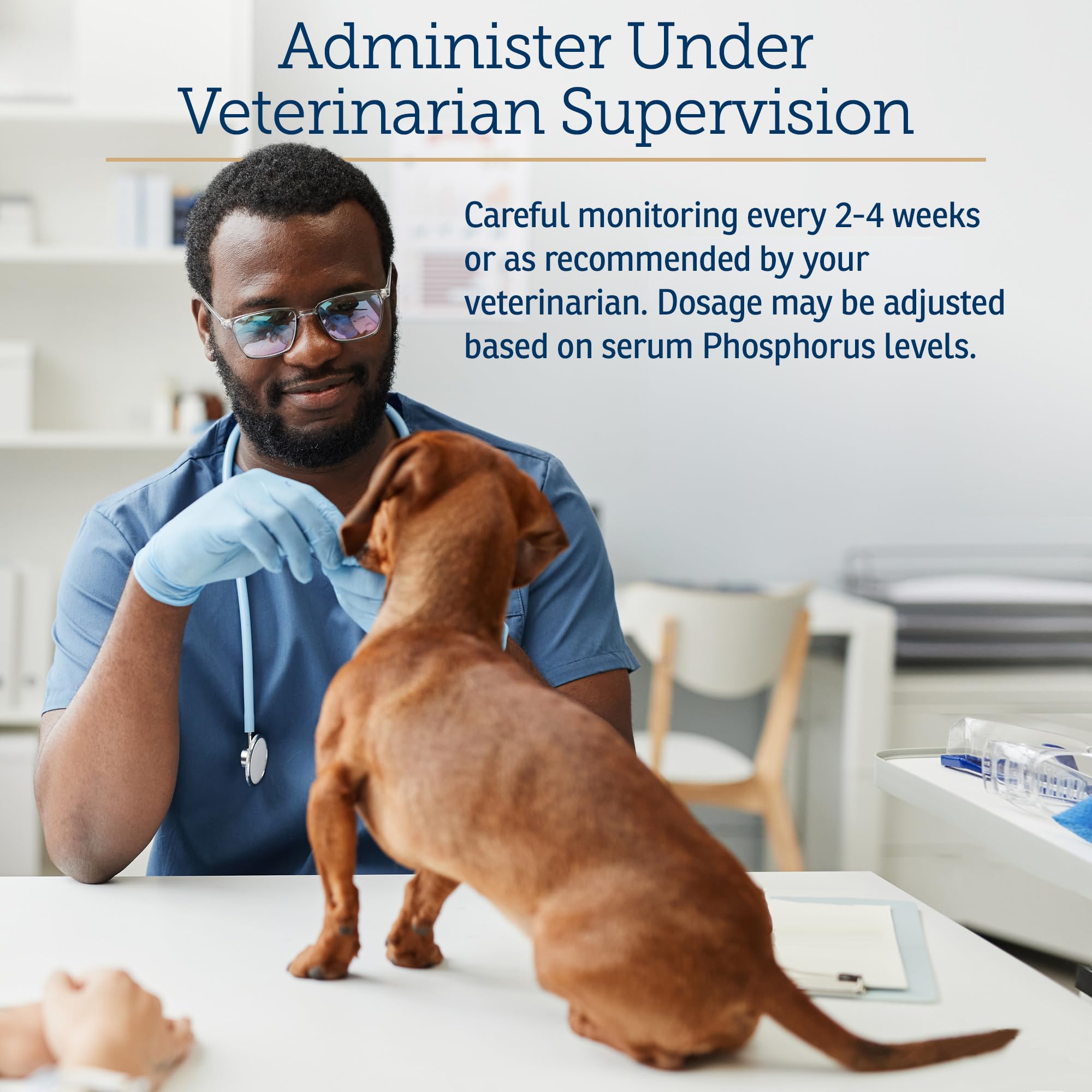 Rx Vitamins Phos-Bind vet-formulated support for safer kidney health routines.