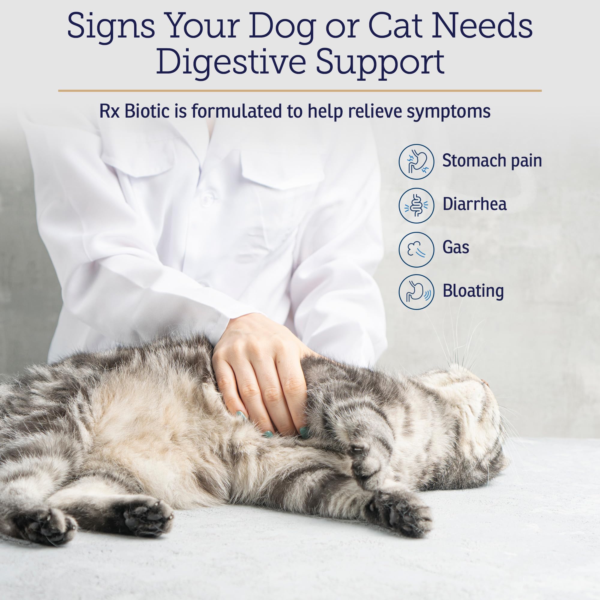 Rx Biotic powder for cats pictured, aiding feline digestive comfort.