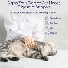Rx Biotic powder for cats pictured, aiding feline digestive comfort.