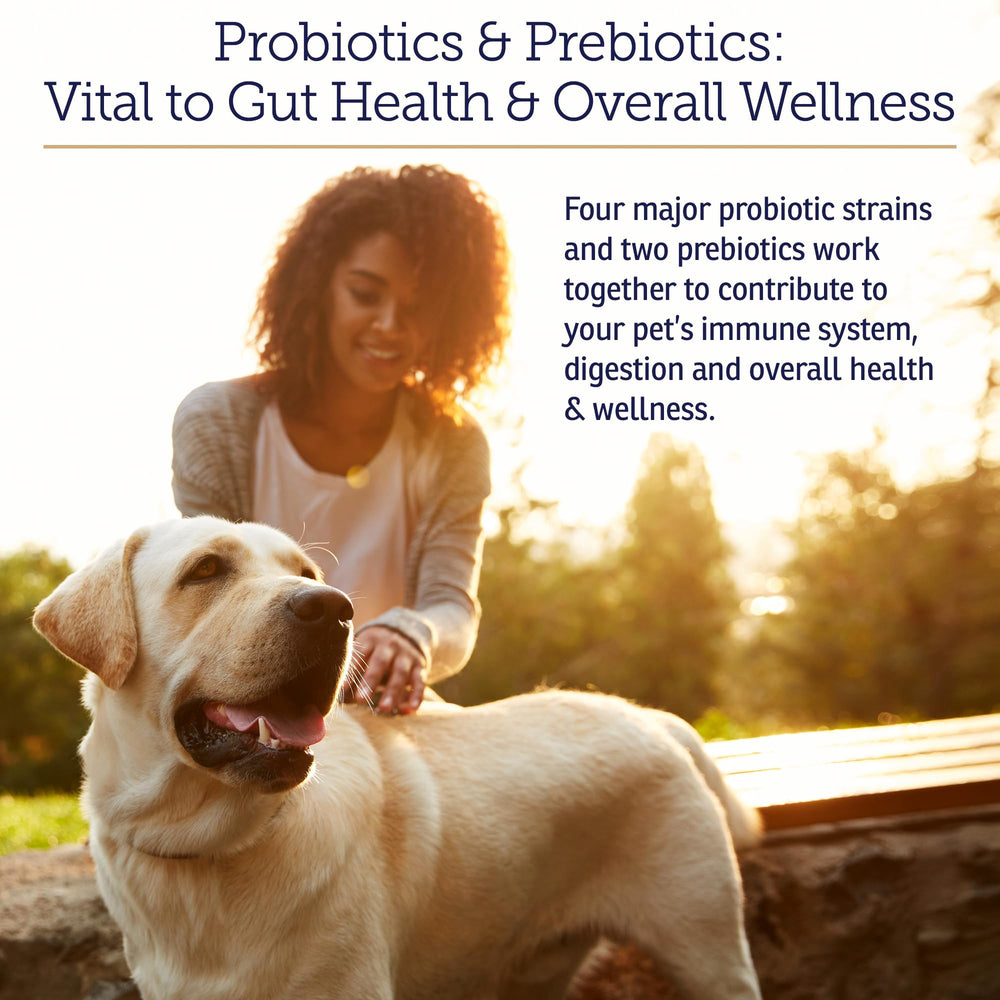 Rx Biotic powder for dogs shown, supporting canine digestive health.