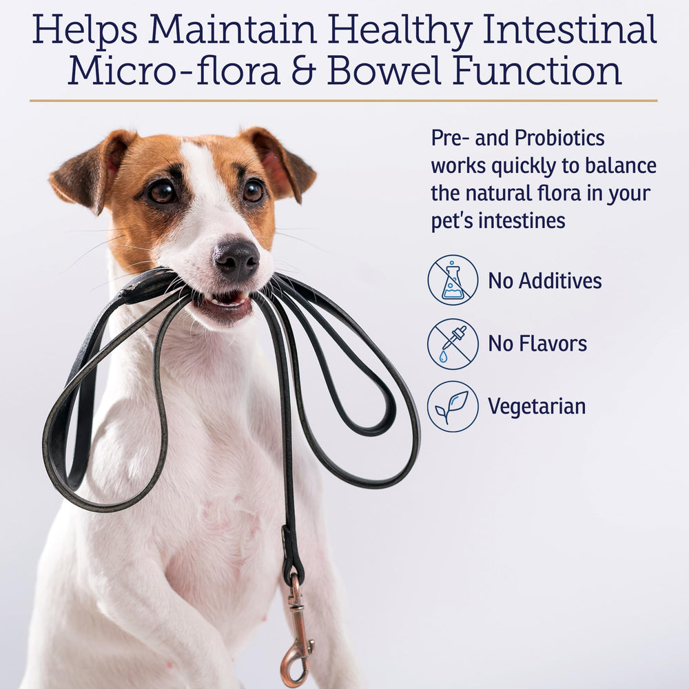 Rx Biotic powder mixing into food shows easy use.