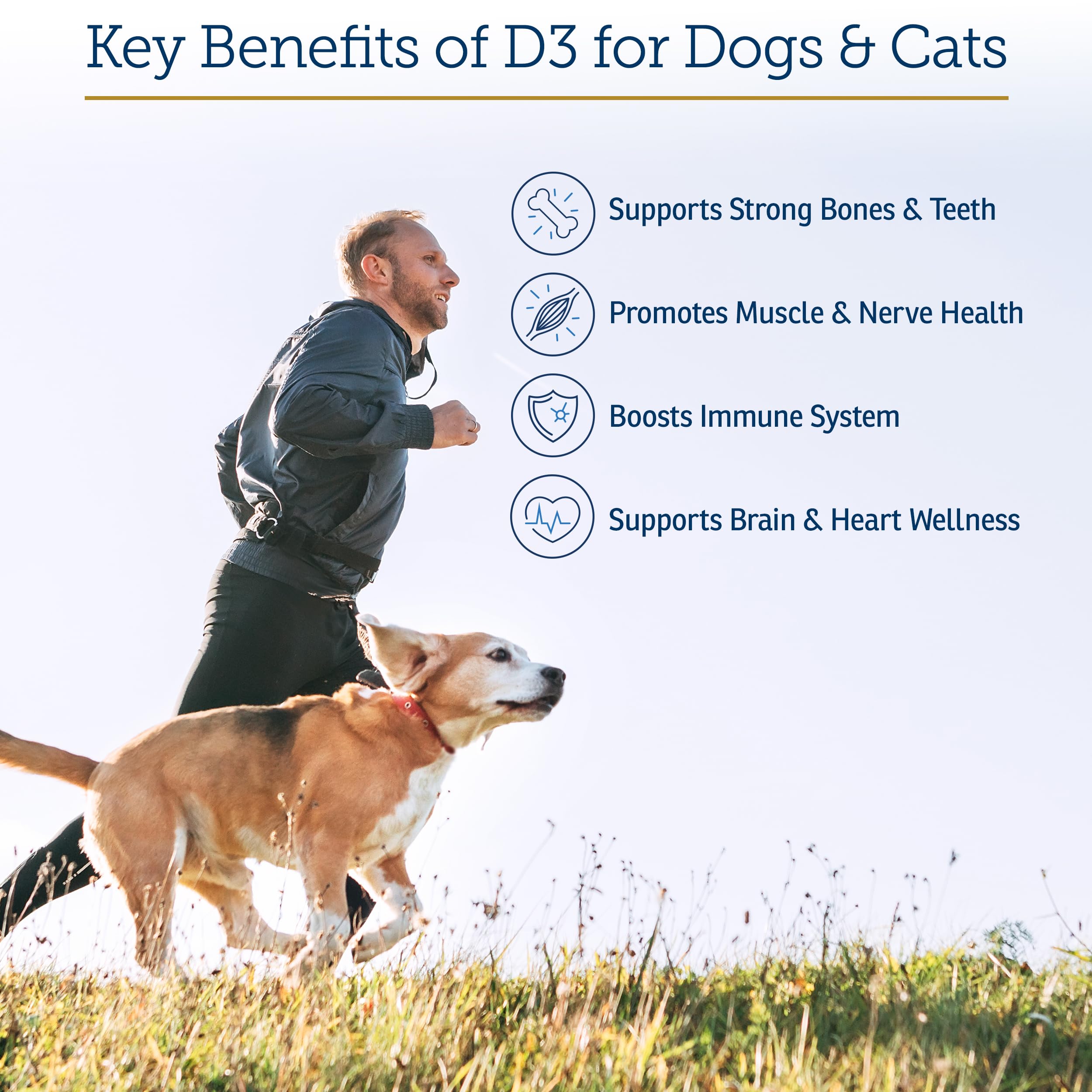 Rx D3 in MCT oil base promotes faster nutrient delivery for pets
