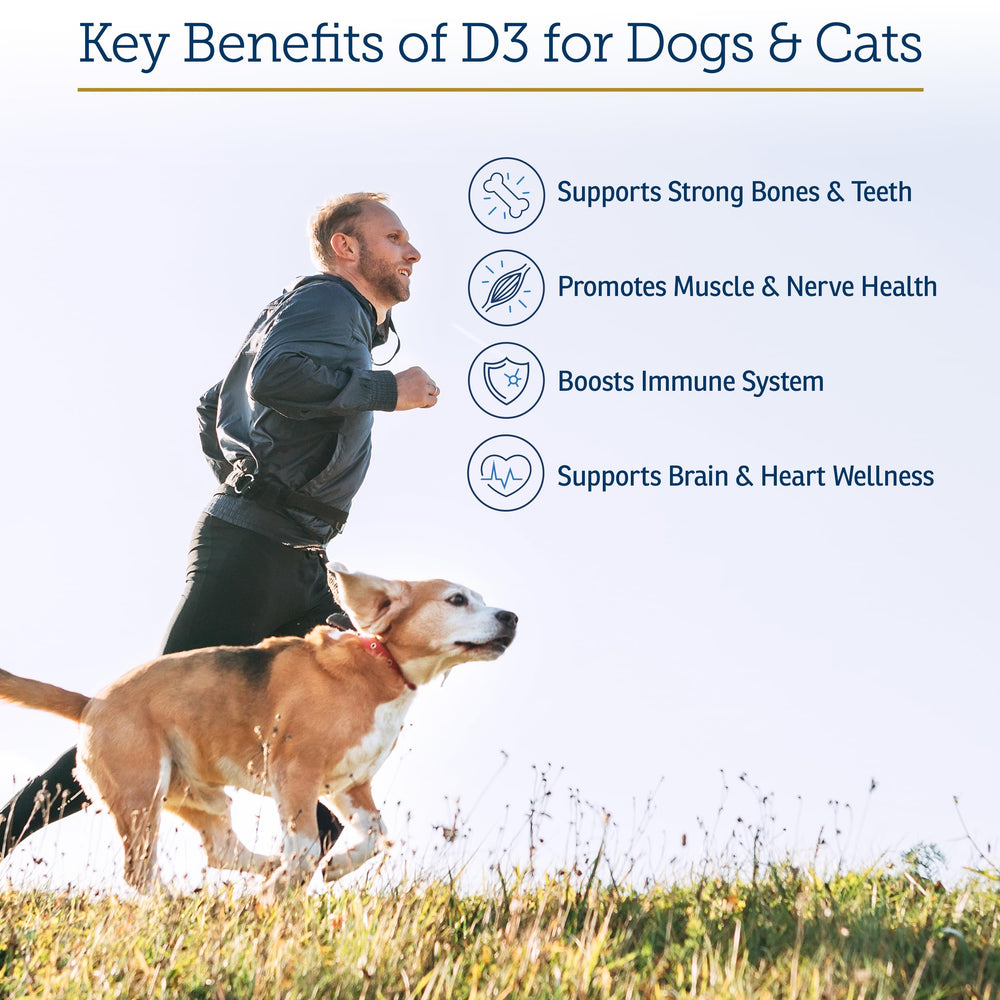 Rx D3 in MCT oil base promotes faster nutrient delivery for pets