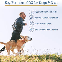 Rx D3 in MCT oil base promotes faster nutrient delivery for pets